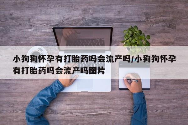 堕胎药叫什么名字微信怎么购买小狗狗怀孕有打胎药吗会流产吗/小狗狗怀孕有打胎药吗会流产吗图片