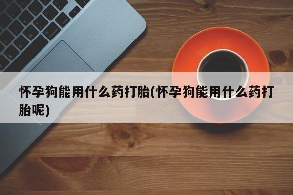 堕胎药叫什么名字微信怎么购买怀孕狗能用什么药打胎(怀孕狗能用什么药打胎呢)